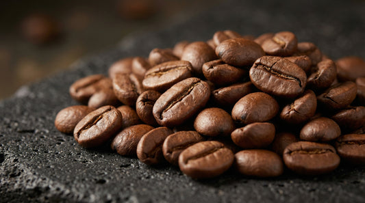 Andes Lumière Estate | Medium